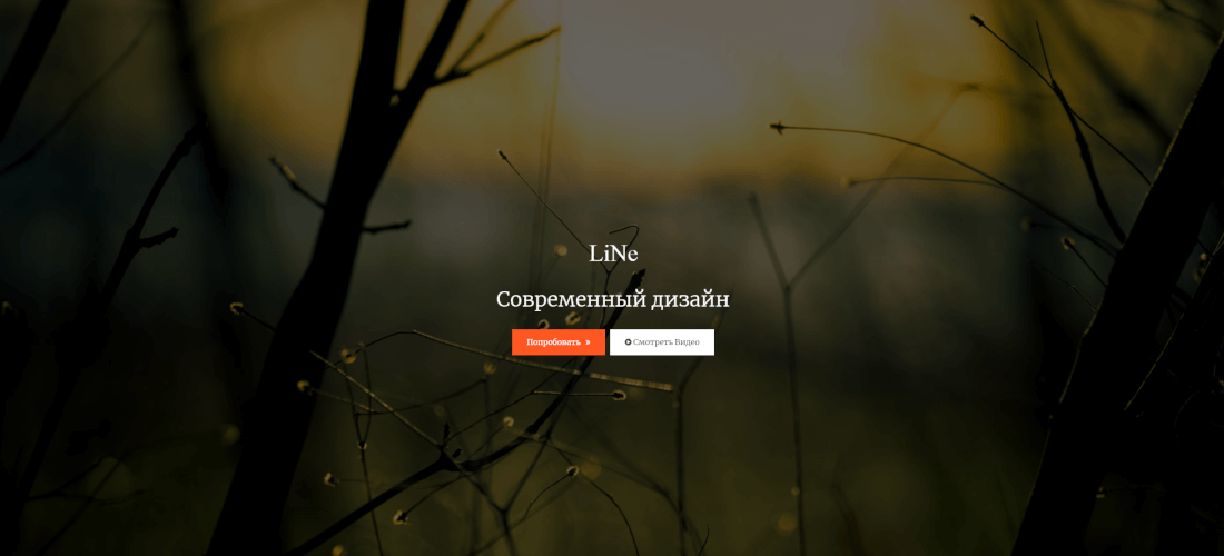 LiNe - Современный одностраничный шаблон HTML5